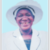 JERUSHA NYANSIABOKA MAKORI